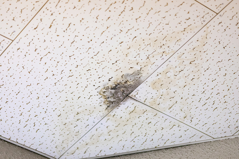 雨漏りってなんですか